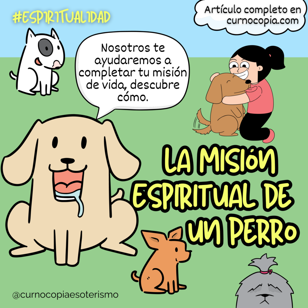 espiritualidad_misionperro